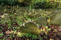 World & Travel: Pet cemetery, Hyde Park, London