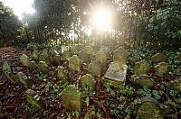World & Travel: Pet cemetery, Hyde Park, London