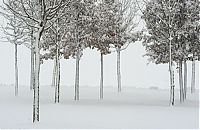 Trek.Today search results: GERMANY-WEATHER-WINTER-SNOW