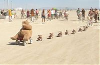 World & Travel: Burning man 2011, Black Rock Desert, Nevada, United States