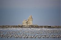 World & Travel: Frozen lighthouse, Lake Erie, North America