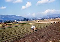 Trek.Today search results: Japan in the 1950's by Herb Gouldon