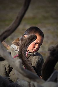 Trek.Today search results: Life of Siberian reindeer herders, Yamal, Russia.