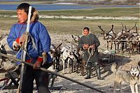 Trek.Today search results: Life of Siberian reindeer herders, Yamal, Russia.