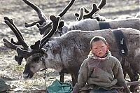 World & Travel: Life of Siberian reindeer herders, Yamal, Russia.