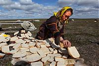 Trek.Today search results: Life of Siberian reindeer herders, Yamal, Russia.