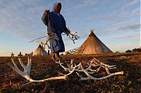 Trek.Today search results: Life of Siberian reindeer herders, Yamal, Russia.