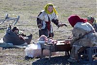 Trek.Today search results: Life of Siberian reindeer herders, Yamal, Russia.