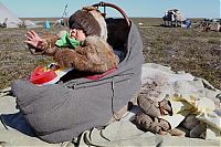 World & Travel: Life of Siberian reindeer herders, Yamal, Russia.