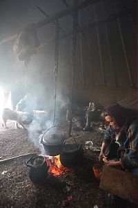 Trek.Today search results: Life of Siberian reindeer herders, Yamal, Russia.