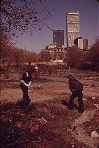 World & Travel: History: Boston in the 1970s