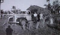 World & Travel: record breaking tree