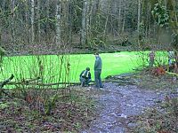 Trek.Today search results: Fluorescein dumped into Goldstream River, British Columbia, Canada