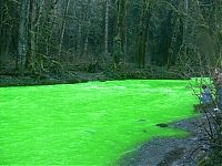 Trek.Today search results: Fluorescein dumped into Goldstream River, British Columbia, Canada