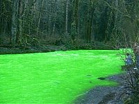 Trek.Today search results: Fluorescein dumped into Goldstream River, British Columbia, Canada