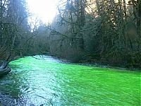 Trek.Today search results: Fluorescein dumped into Goldstream River, British Columbia, Canada