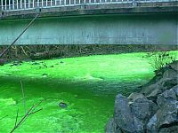 World & Travel: Fluorescein dumped into Goldstream River, British Columbia, Canada