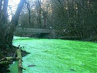 Trek.Today search results: Fluorescein dumped into Goldstream River, British Columbia, Canada