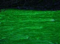 Trek.Today search results: Fluorescein dumped into Goldstream River, British Columbia, Canada