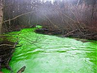 Trek.Today search results: Fluorescein dumped into Goldstream River, British Columbia, Canada