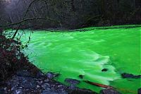 World & Travel: Fluorescein dumped into Goldstream River, British Columbia, Canada