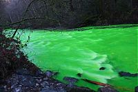 Trek.Today search results: Fluorescein dumped into Goldstream River, British Columbia, Canada