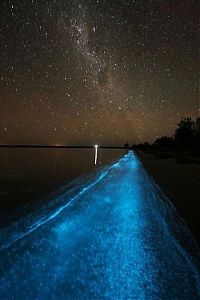 World & Travel: Noctiluca scintillans, Gippsland Lakes, Vistoria, Australia