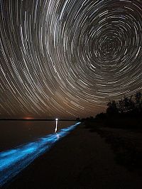 Trek.Today search results: Noctiluca scintillans, Gippsland Lakes, Vistoria, Australia