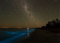 Trek.Today search results: Noctiluca scintillans, Gippsland Lakes, Vistoria, Australia