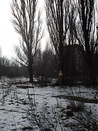 Trek.Today search results: Chernobyl in winter, Pripyat, Kiev Oblast, Ukraine