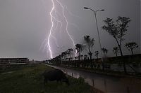 Trek.Today search results: lightning photography