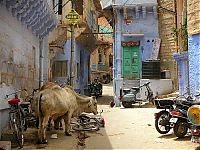 World & Travel: Blue City, Jodhpur, Rajasthan, India