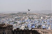 Trek.Today search results: Blue City, Jodhpur, Rajasthan, India