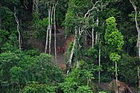 World & Travel: Unknown tribe, Brazil