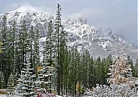 Trek.Today search results: mountains in winter