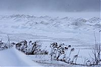 World & Travel: 2011 Groundhog Day Blizzard, North America