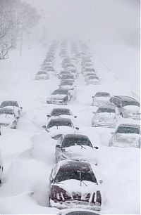 Trek.Today search results: 2011 Groundhog Day Blizzard, North America