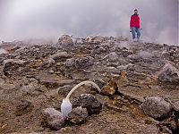 World & Travel: Nyiragongo Crater, Virunga National Park, Democratic Republic of the Congo