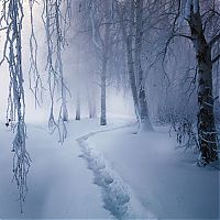 World & Travel: winter photography