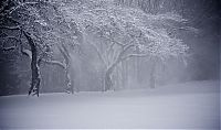 World & Travel: winter photography