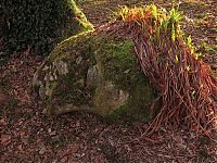 Trek.Today search results: The Lost Gardens of Heligan, Mevagissey, United Kingdom