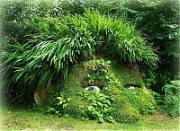 World & Travel: The Lost Gardens of Heligan, Mevagissey, United Kingdom