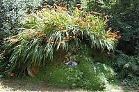 World & Travel: The Lost Gardens of Heligan, Mevagissey, United Kingdom