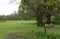 World & Travel: The Lost Gardens of Heligan, Mevagissey, United Kingdom