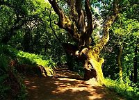 World & Travel: The Lost Gardens of Heligan, Mevagissey, United Kingdom