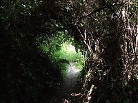 Trek.Today search results: The Lost Gardens of Heligan, Mevagissey, United Kingdom