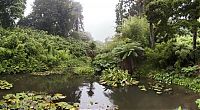 Trek.Today search results: The Lost Gardens of Heligan, Mevagissey, United Kingdom