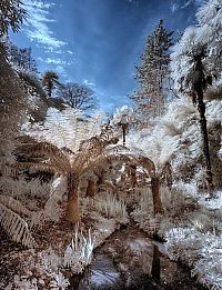 Trek.Today search results: The Lost Gardens of Heligan, Mevagissey, United Kingdom