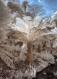 World & Travel: The Lost Gardens of Heligan, Mevagissey, United Kingdom