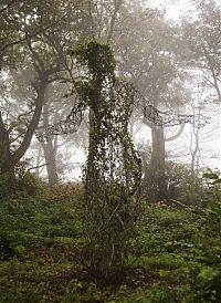 Trek.Today search results: The Lost Gardens of Heligan, Mevagissey, United Kingdom